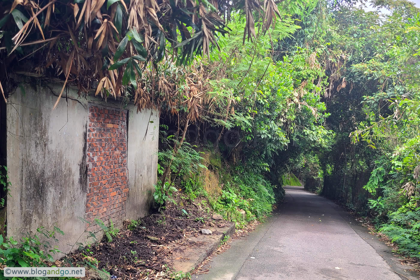 Mount Davis Battery - Early Ruins